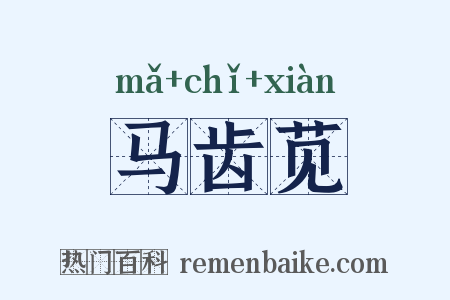 马齿苋是什么意思的图片